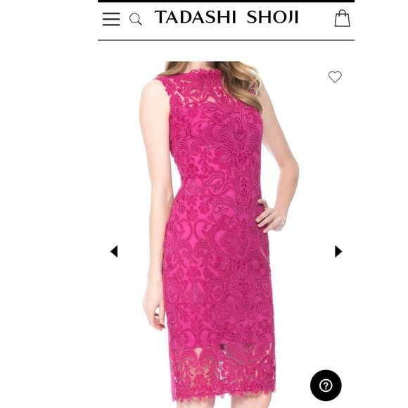 Tadashi Shoji Mendy Rosette Embroidered Tulle Sheath Dress Size 4 - Picture 8 of 8
